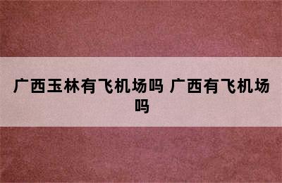 广西玉林有飞机场吗 广西有飞机场吗